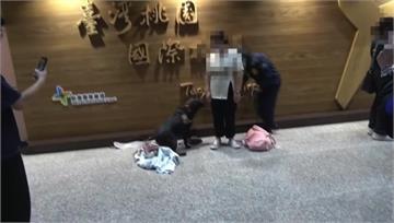 緝毒犬立大功！2女私密處「藏毒」想闖關 入境秒露...