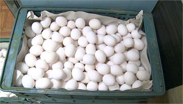 蛋荒未解寒流來襲　蛋量減產2成「價格恐漲」