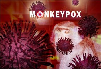 本土猴痘再增16例 揭「12警示徵兆」：頭痛、肌...