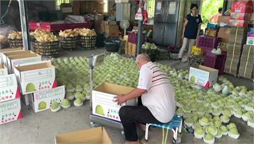 9成釋迦外銷中國　台東農民憂滯銷價格下滑