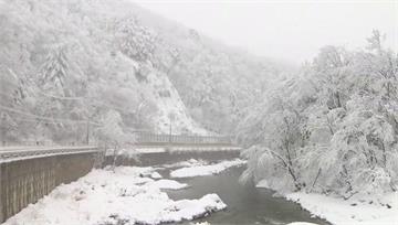 南韓暴雪車禍頻傳！ 首爾氣溫恐探「零下12度」