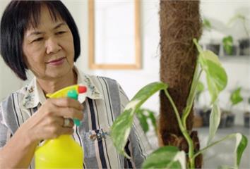 80歲婦膝蓋突然「啪一聲」二度骨折！ 醫揭「銀髮...
