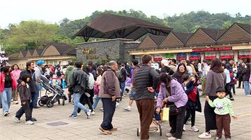初三走春！台北動物園人潮爆 排隊領限量馬年開運金
