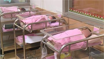 國健署最新報告　新竹縣市人工受孕數居全台第三