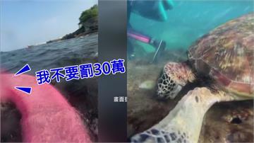 別過來！民眾浮潛遇海龜猛逼近 他嚇到「連滾帶爬」...