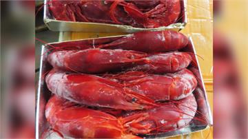 食藥署公布邊境違規名單　法國「地中海紅蝦」檢出劇...