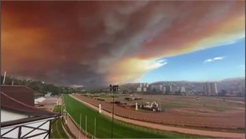 智利森林大火 毀480公頃林地、居民撤離