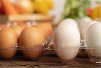 芬普尼蛋流向9縣市！「同品牌不同日期」也有問題嗎...