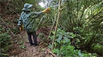 虎頭蜂螫傷事件頻傳 新北瑞芳暫時封閉3步道
