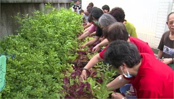 65歲退休人口創新高！勞動人口跌破7成恐衝擊國家...