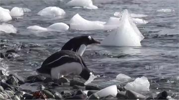 暖化加劇！最熱6月發威 南極海冰面積創新低