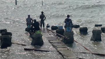 民間團體善意放生鱸魚...竟變「現成釣場」 東石...