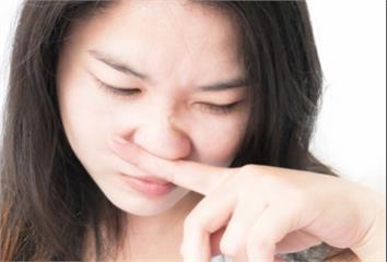 家裡好臭？寵物味揮之不去？ 專家推「居家除臭6大...