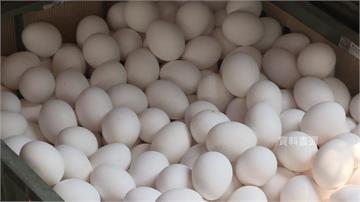 銷毀過期進口蛋　畜產會招標找業者做堆肥