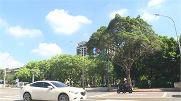 今年創「最暖秋天」紀錄！氣象署估：冬季偏暖、雨量...