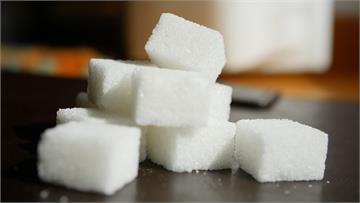 不再憑感覺！國健署擬定少鹽、少糖標準　推「食品警...