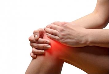 保養關節、預防膝傷害加強鍛練腿部肌力  疼痛當下...