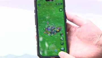 玩皮克敏手遊能改善掉髮？醫曝關鍵在「這行為」