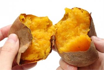 減重吃地瓜有撇步！營養師曝「最佳食用時間」 排便...