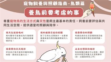 農業部發布寵物飼養與照顧指南通則、鳥類篇 建立飼...