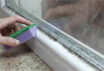 浴室門橡膠條「黑黴」清不掉？ 專家授「1張廚房紙...