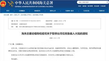 中國稱台灣石斑魚驗出禁用藥物　13日起暫停輸入