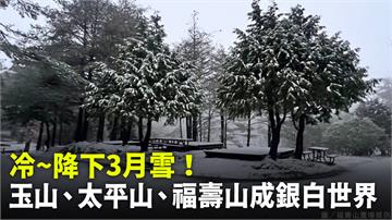 降下3月雪！ 玉山、太平山、福壽山成銀白世界