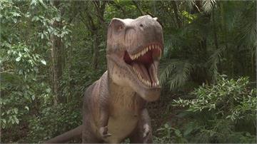 園內多達40隻！巴西「恐龍樂園」全球最大