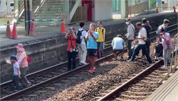 合法「跳軌」撿橘子！ 台南舊車站軌道「限時開放拍...