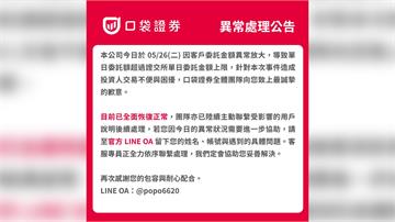 口袋證券爆委託額超限無法交易 證交所將查核