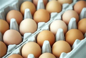 偏紅色蛋黃的蛋、小顆鵪醇蛋和蒸蛋就不會有膽固醇？...