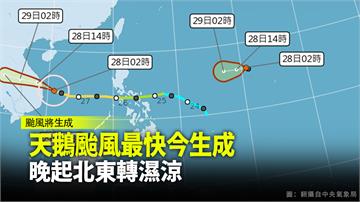 「天鵝」颱風最快今成形  晚起北部、東部轉溼涼
