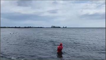 非溺斃！7旬翁赴高雄鑽石沙灘游泳 遭3浪犬追咬大...