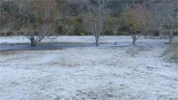武陵農場清晨1.4度地面結霜 一片雪白美如仙境