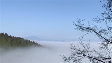 美不勝收！今白天氣溫回升　太平山「雲瀑湧現」籠罩...