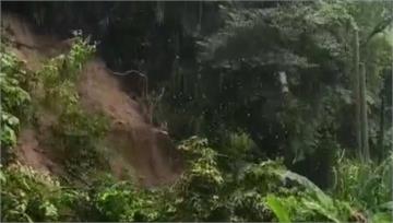 苗栗大雨！民眾目睹「大樹連根拔起」驚險倒車逃 路...