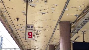 宜蘭羅東車站月台雨棚天花板「掉漆」 乘客傻眼