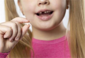嬰幼兒需大量鈣質幫助成長　兒童期缺鈣「恐影響牙齒...