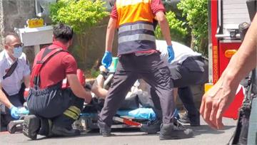 北市捕蜂工人「昏迷卡樹上」　送醫搶救仍不治
