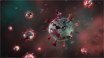 義大利出現「超級免疫者」！抗體倍增擋病毒9個月