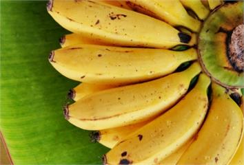 3種水果能助眠香蕉、蘋果、奇異果都上榜 營養師教...