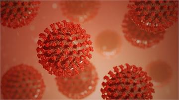 英國研究：普通感冒生成T細胞 有助對抗新冠