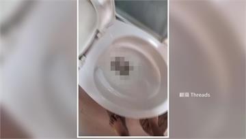 將「10倉鼠沖馬桶」引發眾怒　惡劣泰女遭法辦
