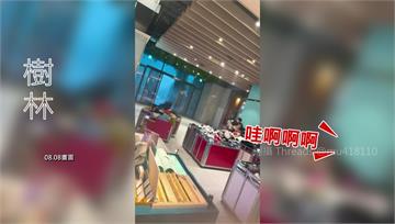 白海豚強風豪雨狂襲北台灣！多地災情頻傳　驚險畫面...