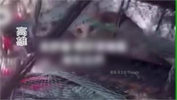 不滿偷吃魚肉.亂大小便 漁民怒「浸豬籠」丟2貓入...