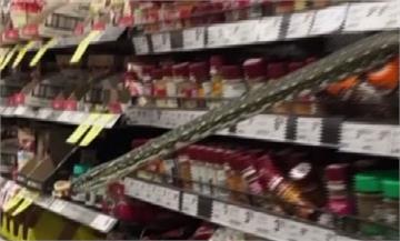 「超市裡有蛇」雪梨超市貨架驚見不速之客