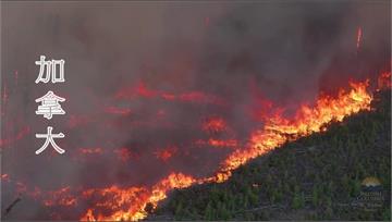 加拿大野火肆虐創紀錄 面積等同於南韓