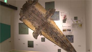 興大自然史博物館開幕 世界級珍貴標本初亮相