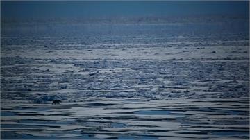 地球「發燒」了！北極圈高溫38度創史上最高