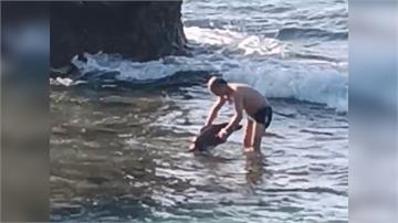 中國遊客違法抓小琉球海龜辯「幫忙移開」 最重可判...